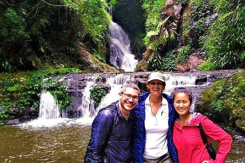 Exclusive Private Tour - Design Your Own - Tourism Cairns 0