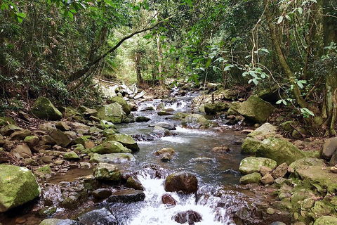 Exclusive Private Tour - Design Your Own - Tourism Cairns 1
