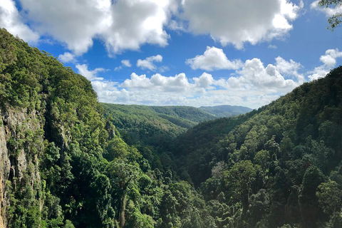 Exclusive Private Tour - Design Your Own - Tourism Cairns 3
