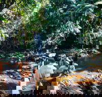 Aquaduck  Your choice of Gold Coast Rainforest Tour - Tourism Cairns