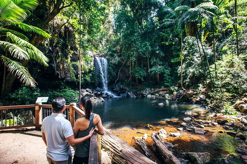 Aquaduck & Your Choice Of Gold Coast Rainforest Tour - Tourism Cairns 0
