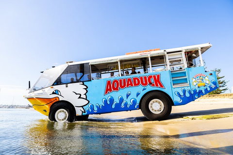 Aquaduck & Your Choice Of Gold Coast Rainforest Tour - Tourism Cairns 3