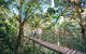 Aquaduck & Your Choice Of Gold Coast Rainforest Tour - thumb 4