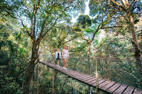 Aquaduck & Your Choice Of Gold Coast Rainforest Tour - Tourism Cairns 4