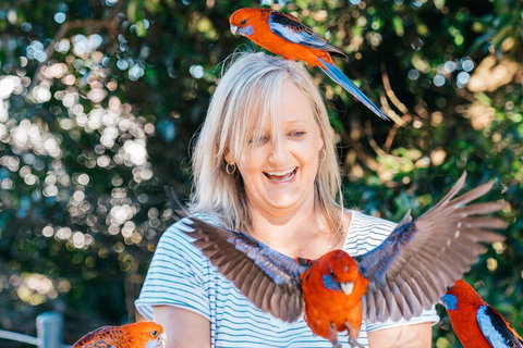 Aquaduck & Your Choice Of Gold Coast Rainforest Tour - Tourism Cairns 5