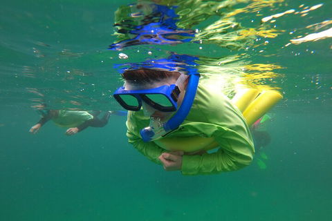 Manly Snorkel Trip And Nature Walk With Local Guide - Tourism Cairns 5