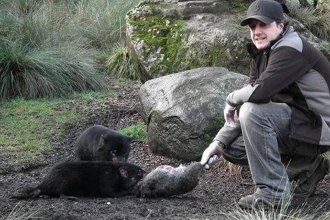 After Dark Tasmanian Devil Feeding Tour At Cradle Mountain - Tourism Cairns 2
