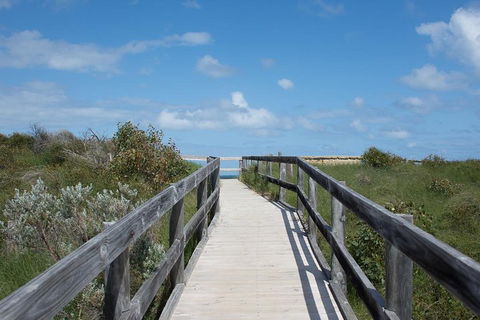 Yanchep & Lancelin - Wildlife, Cave And Sands - Tourism Cairns 2