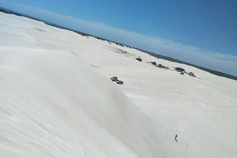 Yanchep & Lancelin - Wildlife, Cave And Sands - Tourism Cairns 3