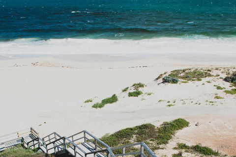 Yanchep & Lancelin - Wildlife, Cave And Sands - Tourism Cairns 5