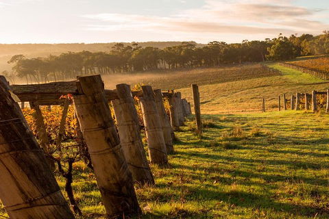 The All About Margaret River Tour: Wine, Coffee, Lunch And Forest - Tourism Cairns 5