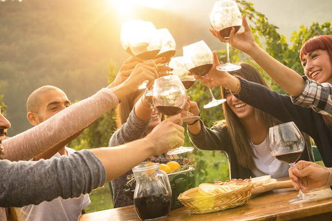 Yarra Valley, Dandenong Ranges Inc. Lunch With Wine,plus Morning Tea,chocolate - Tourism Cairns 4