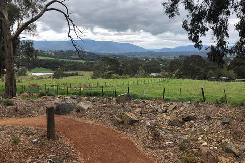 Yarra Valley Wine Tour Inc Lunch With A Glass Of Wine, Tastings And Chocolate - Tourism Cairns 0
