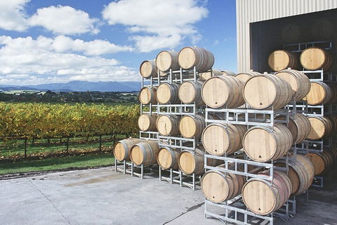 Yarra Valley Wine Tour Inc Lunch With A Glass Of Wine, Tastings And Chocolate - Tourism Cairns 4