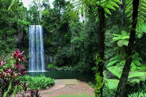 Paronella Park And Millaa Millaa Falls Full-day Tour From Cairns - Tourism Cairns 3