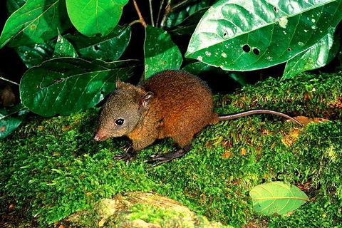 3-Day Small-Group Tour Of North Queensland With Pick Up - Tourism Cairns 0