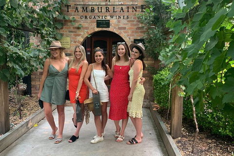 A Full Day Hunter Valley Wine Tasting Tour With Lunch And Tasting Fee's Included - Tourism Cairns 4