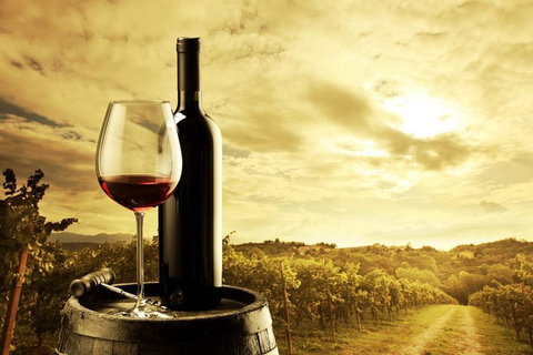 Barossa Valley Cellar Doors Luxury Wine Tour - Tourism Cairns 0