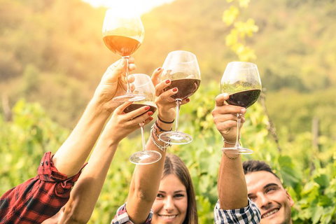 Barossa Valley Cellar Doors Luxury Wine Tour - Tourism Cairns 1