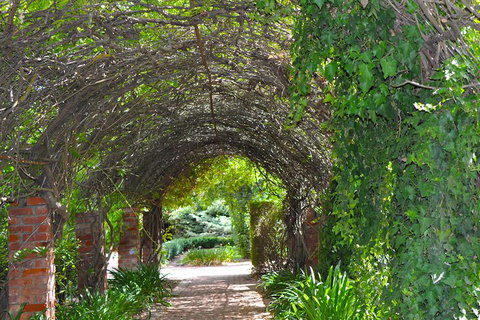 Barossa Valley Cellar Doors Luxury Wine Tour - Tourism Cairns 3