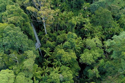Natural Bridge, Skywalk And Mt Tamborine Adventure! - Tourism Cairns 2