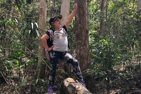Natural Bridge, Skywalk And Mt Tamborine Adventure! - Tourism Cairns 3