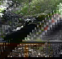 Mt Field and Styx Valley Photography Tour - Tourism Cairns