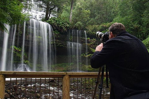 Mt Field And Styx Valley Photography Tour - Tourism Cairns 0