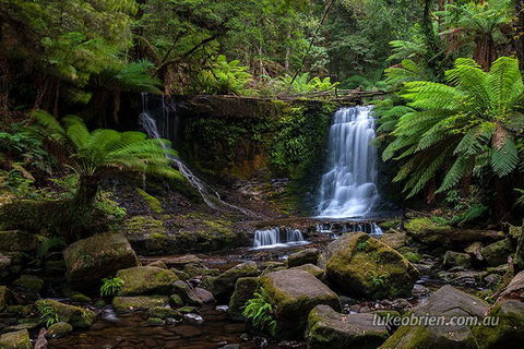 Mt Field And Styx Valley Photography Tour - Tourism Cairns 3