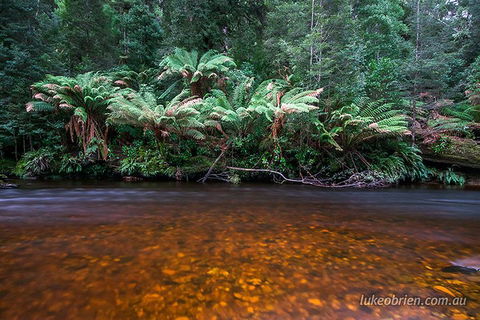 Mt Field And Styx Valley Photography Tour - Tourism Cairns 4