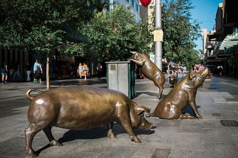 Guided Walking Tour In Adelaide - Tourism Cairns 4