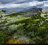 3-Day Tour to the Falls Mountains Lake  More of West Coast Tasmania - Tourism Cairns