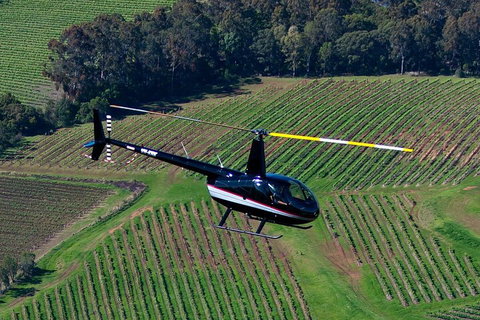 Hunter Valley Wine Country Helicopter Flight From Cessnock - Tourism Cairns 3