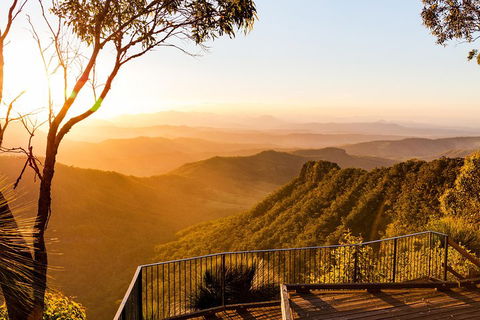O'Reilly's & Lamington National Park Incl. Alpaca Farm + Vineyard - Tourism Cairns 0