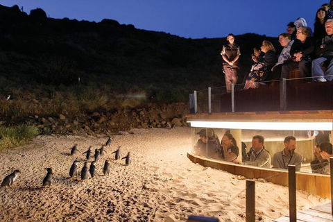 Wilson's Promontory & Phillip Island - 'Prom & Penguins' Tour - Tourism Cairns 3