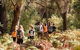 Half-Day Yanchep Ghost House Wilderness Guided Hike Tour - thumb 0