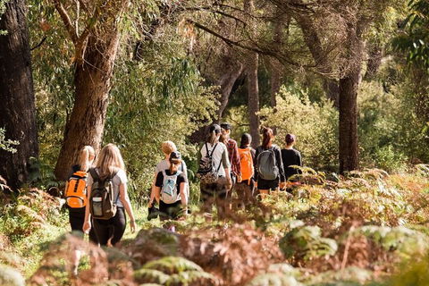Half-Day Yanchep Ghost House Wilderness Guided Hike Tour - Tourism Cairns 0