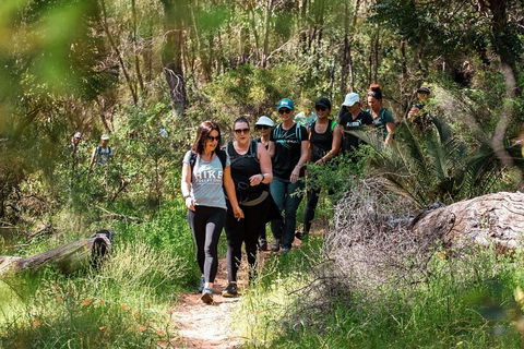 Half-Day Yanchep Ghost House Wilderness Guided Hike Tour - Tourism Cairns 3