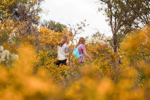 Half-Day Yanchep Ghost House Wilderness Guided Hike Tour - Tourism Cairns 4