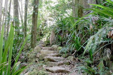 Byron Bay Combo: Minyon Falls And Hinterland Day Trip And Learn To Surf At Byron Bay - Tourism Cairns 3