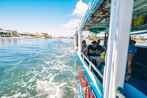 Aquaduck Sunshine Coast - Tourism Cairns 5