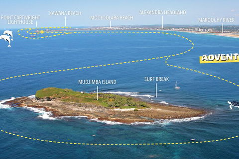 1.5HR Mudjimba Island Wildlife Safari - Tourism Cairns 1