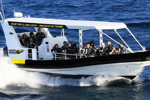 1.5HR Mudjimba Island Wildlife Safari - Tourism Cairns 2