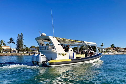1.5HR Mudjimba Island Wildlife Safari - Tourism Cairns 4