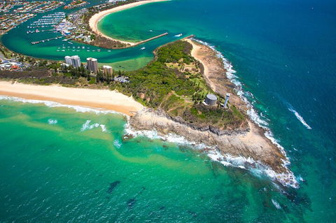 1.5HR Mudjimba Island Wildlife Safari - Tourism Cairns 5