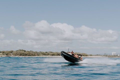 Adventure Rafting - Tourism Cairns 3