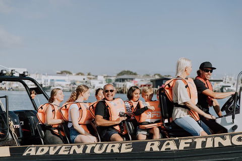 Adventure Whale Watching Tour Mooloolaba - Tourism Cairns 4