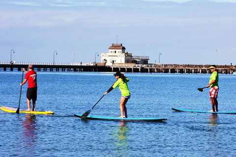 Private Stand-Up Paddle Board Lesson At St Kilda - Tourism Cairns 1