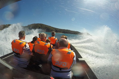 Noosa Thriller - 500hp Ocean Adventure Ride - Tourism Cairns 3