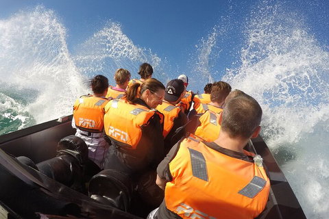 Noosa Thriller - 500hp Ocean Adventure Ride - Tourism Cairns 4